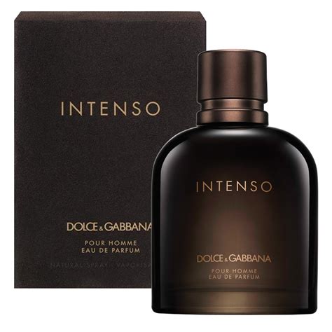 dolce gabbana men cologne|dolce and gabbana intenso men.